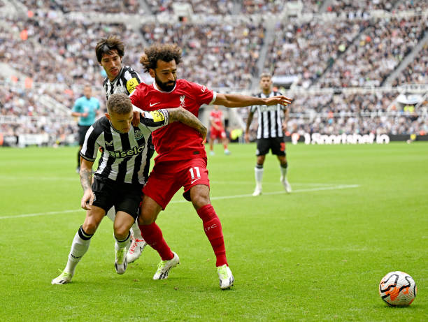 他都投入了 他都投入了