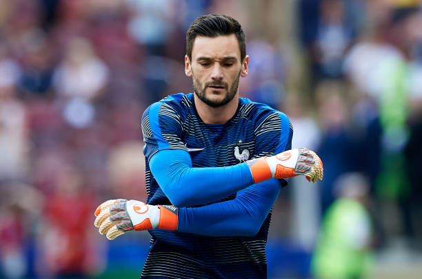 双翼齐飞 双翼齐飞