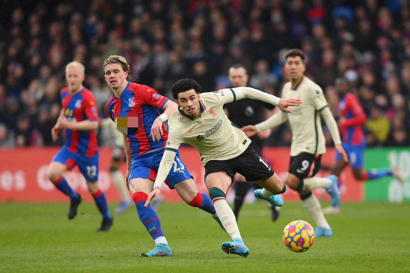 雅克松在切 雅克松在切