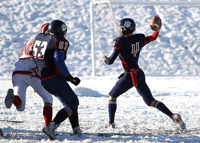 国际声誉 国际声誉